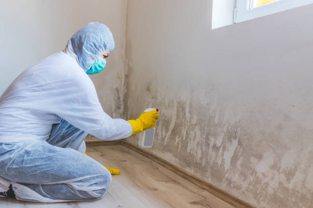 Mold Remediation specialist working in Hendersonville