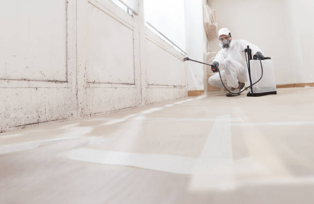 Post-remediation clearance in Hendersonville