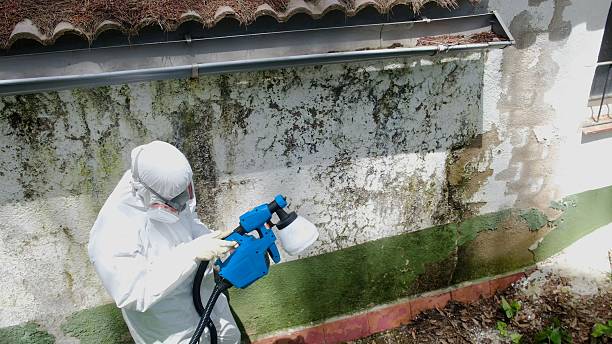 Mold Remediation service in Hendersonville, Hendersonville, TN